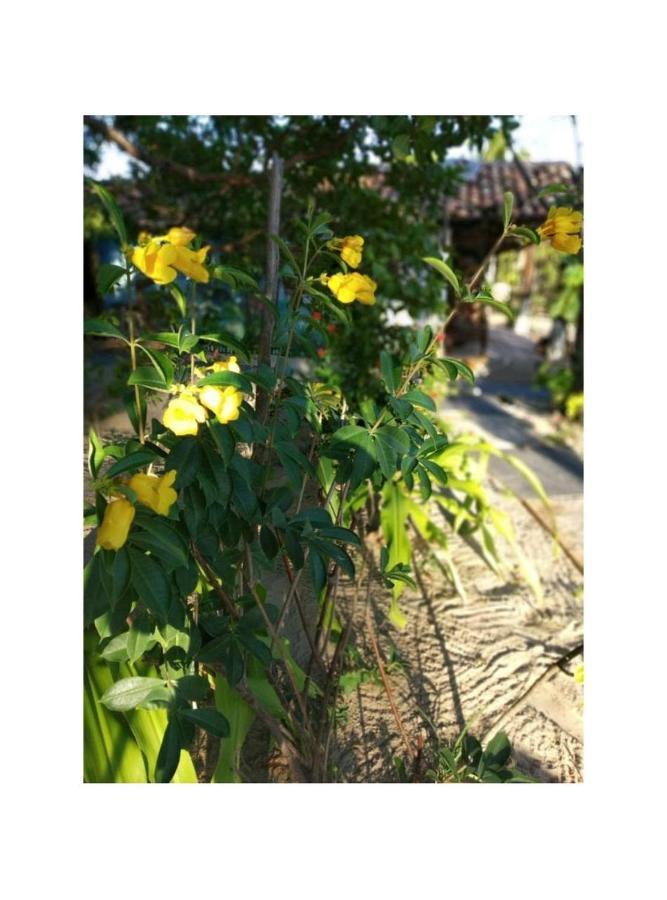 Prana Eco Villa アチンス エクステリア 写真